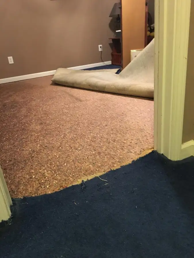 Carpet pad removal revealing water damage during Drying & Dehumidification in Cocoa West