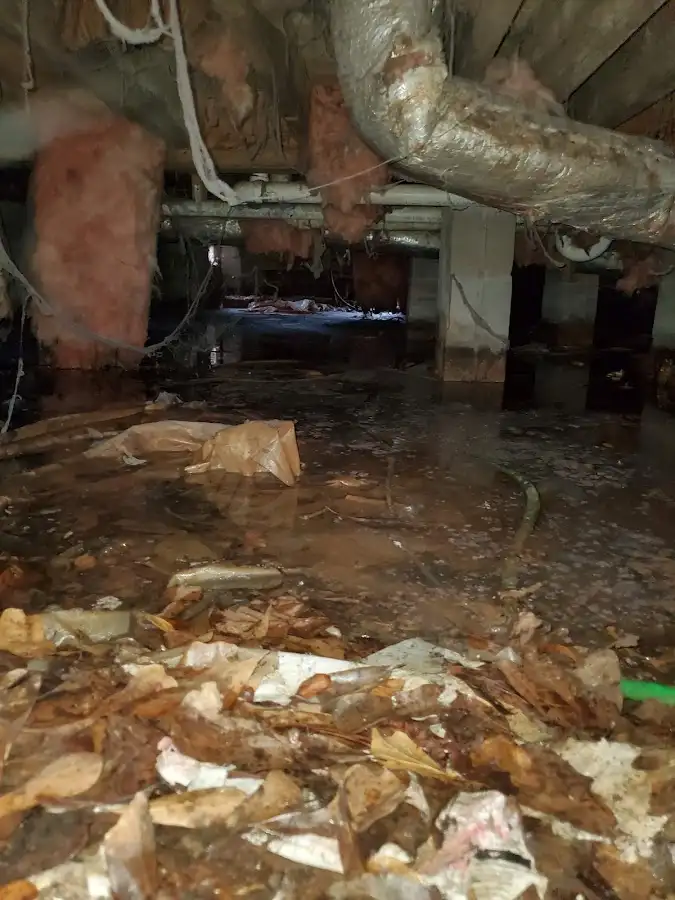 Crawl space flood assessment for Commercial Water Damage Restoration in Cocoa West